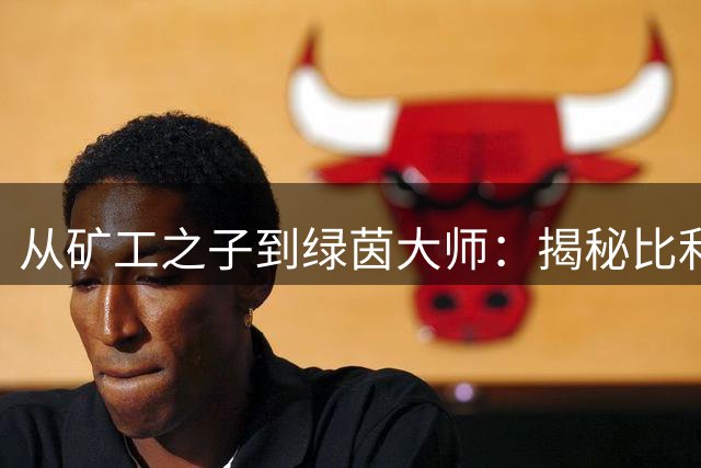 从矿工之子到绿茵大师：揭秘比利时天才希福的足球人生沉浮