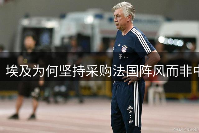 埃及为何坚持采购法国"阵风"而非中国战机