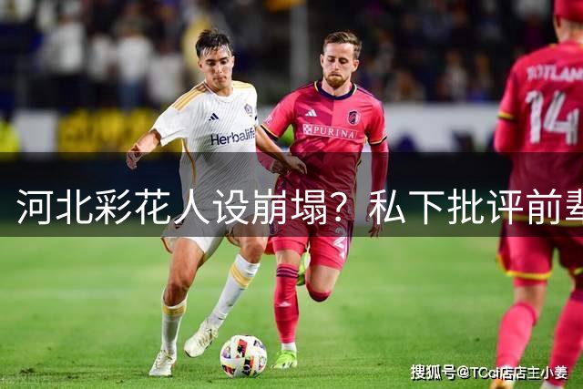 河北彩花人设崩塌？私下批评前辈及后辈引争议